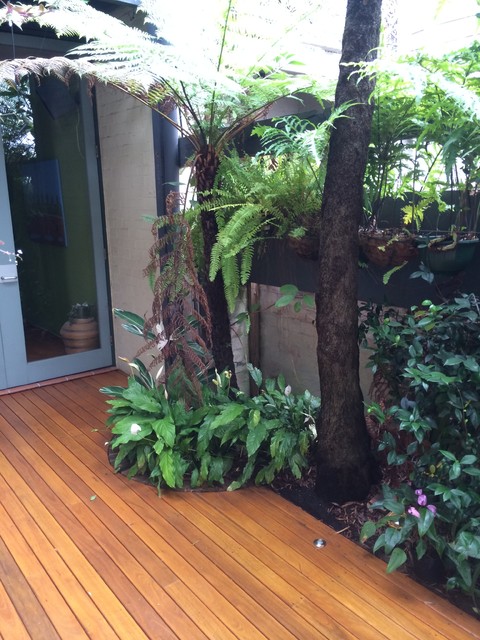 Balmain Deck contemporary-deck