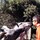renato_gagliano