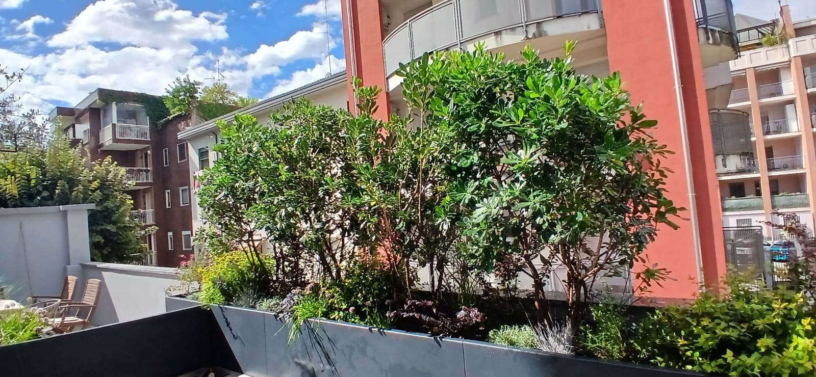 Realizzazione Terrazza dai sapori mediterranei