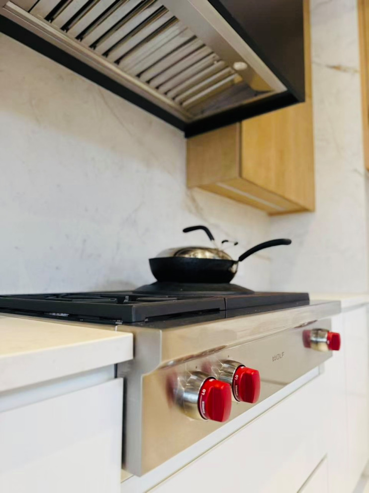 Modern Minimalist Kitchen