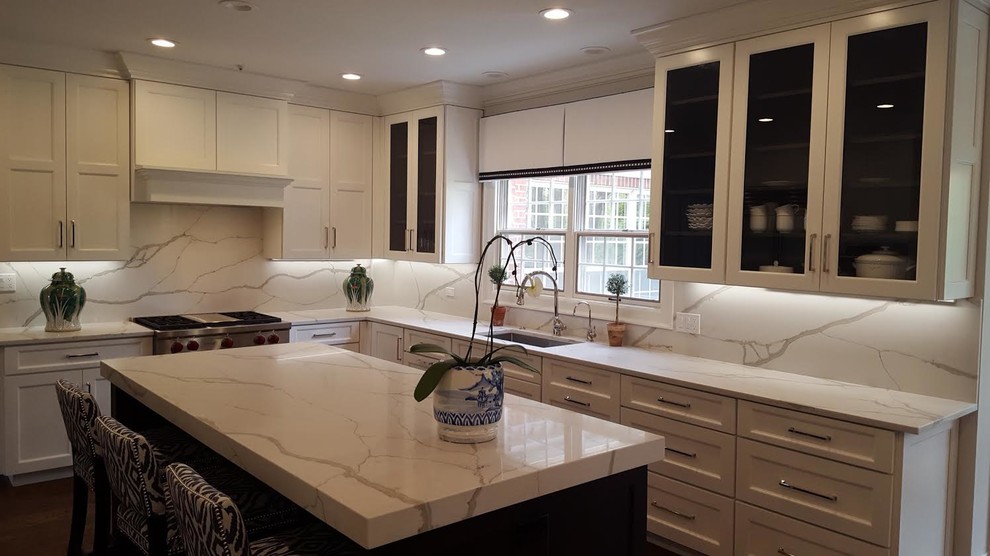 Kitchen - transitional kitchen idea in Chicago
