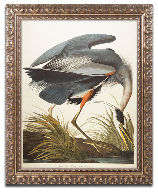 'Great Blue Heron' Ornate Framed Canvas Art by John James Audubon
