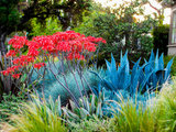 Modern Landscape by Studio H Landscape Architecture