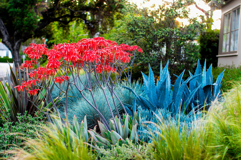 Inspiration for a small modern front yard partial sun xeriscape in Los Angeles.