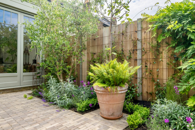 Teddington - Rear Garden Project garden