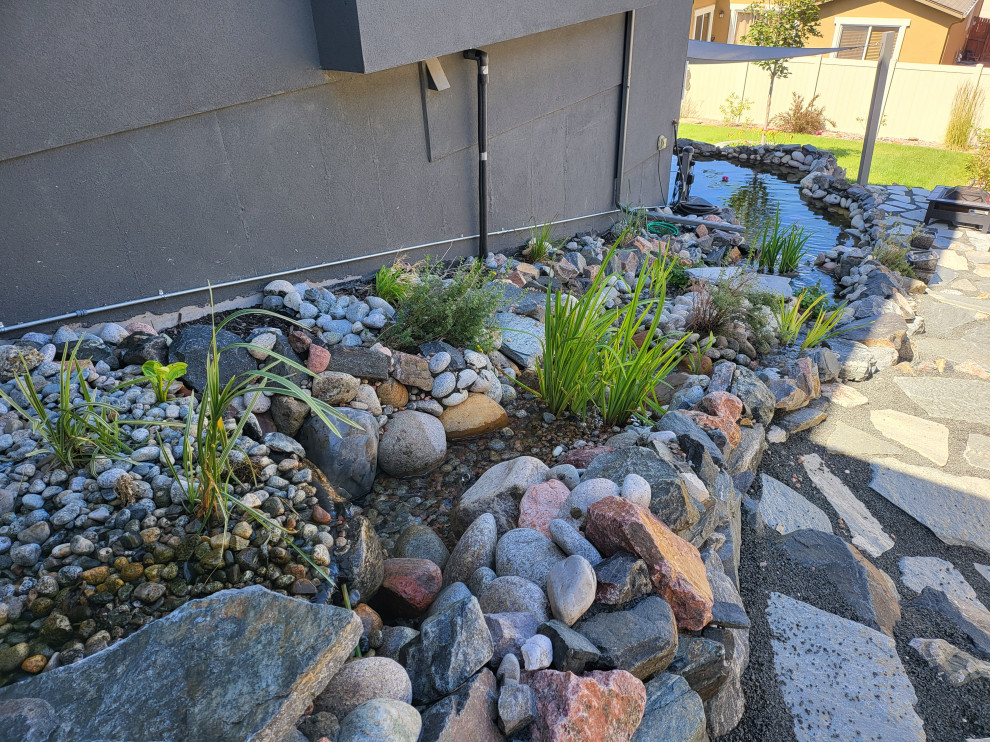 Custom✨ Koi Pond
