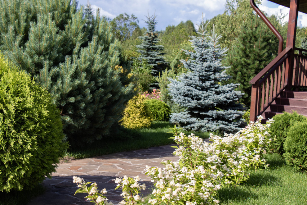 Сосновые берега