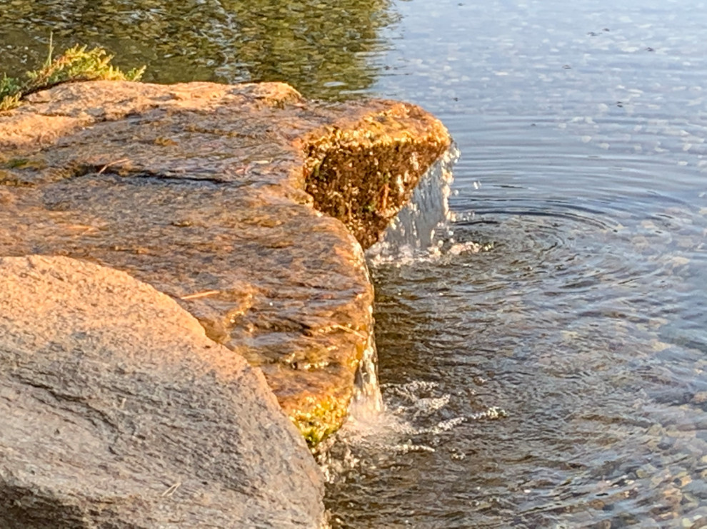 Проект сада с водоемом