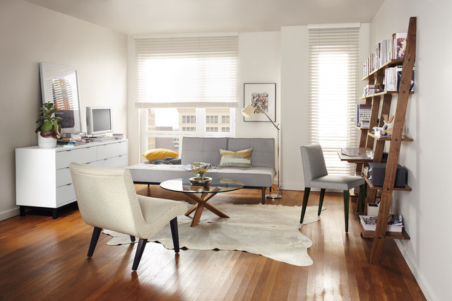 Eden Convertible Sleeper Sofa And Pisa Leaning Shelf