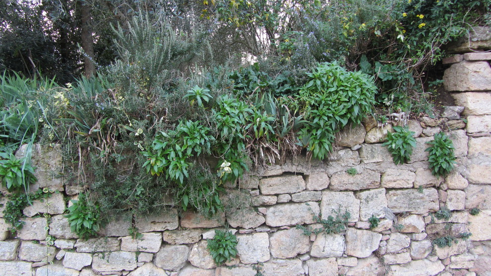 Городское озеленение