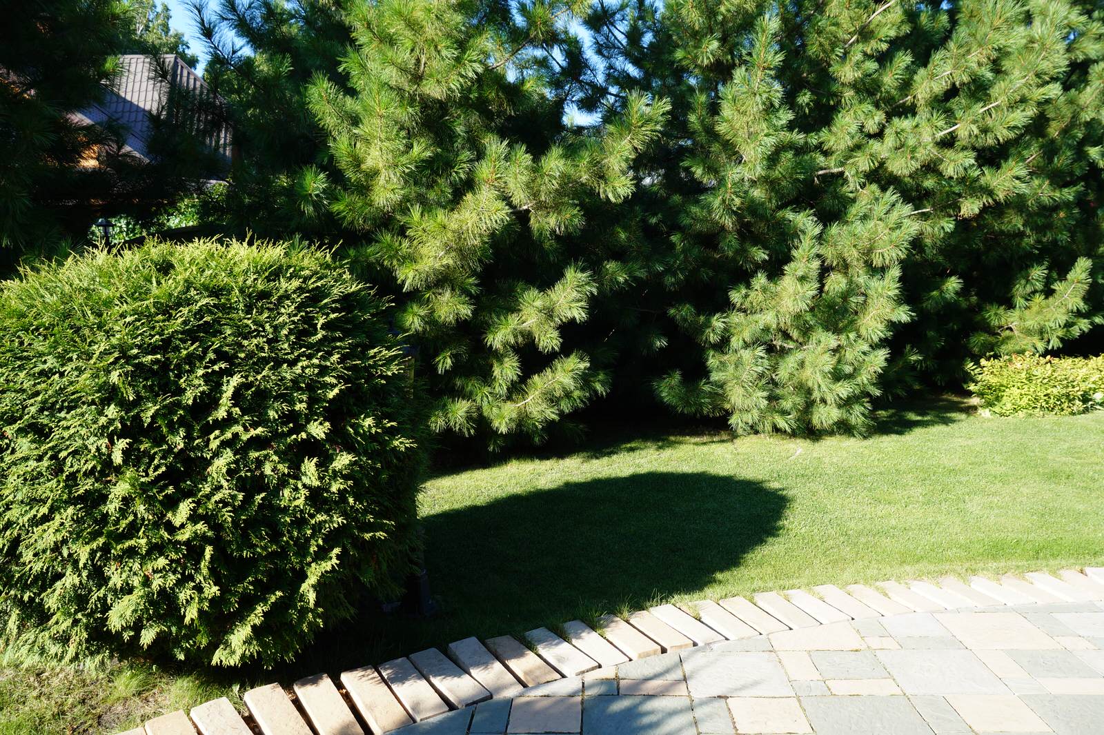 Сад с озером