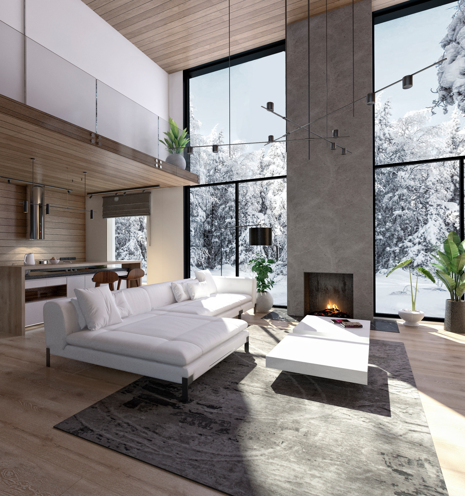 Частный дом в Заречье