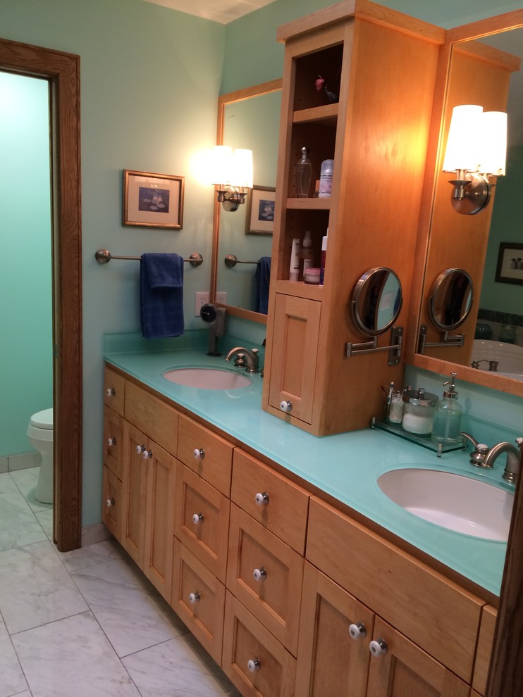 Transitional home design photo in Minneapolis