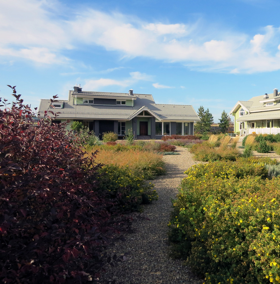 Полынный берег. Новые снимки