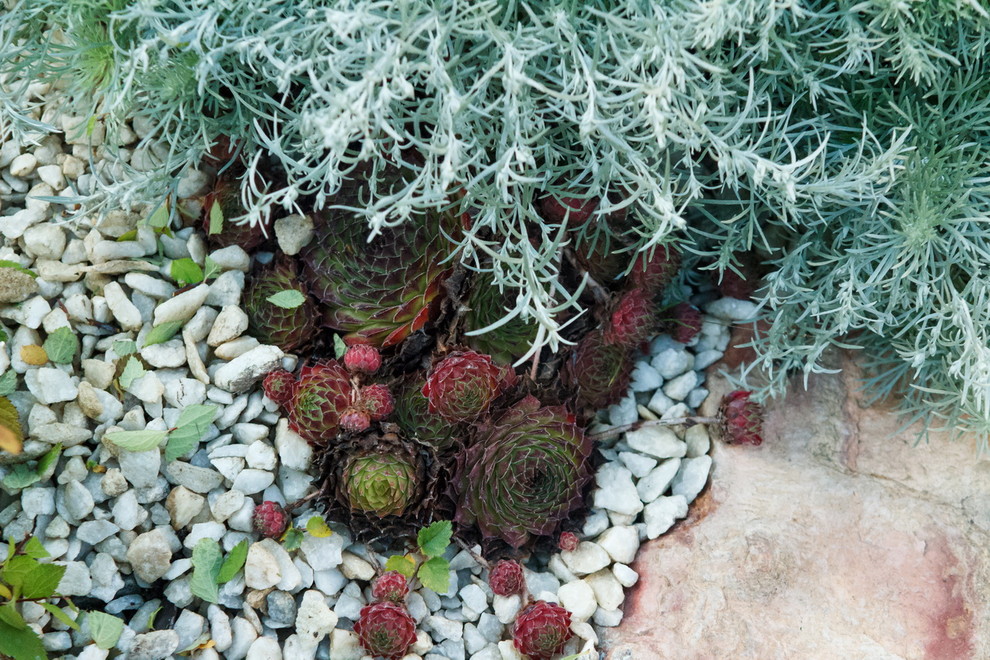 Внутренний дворик таунхауса