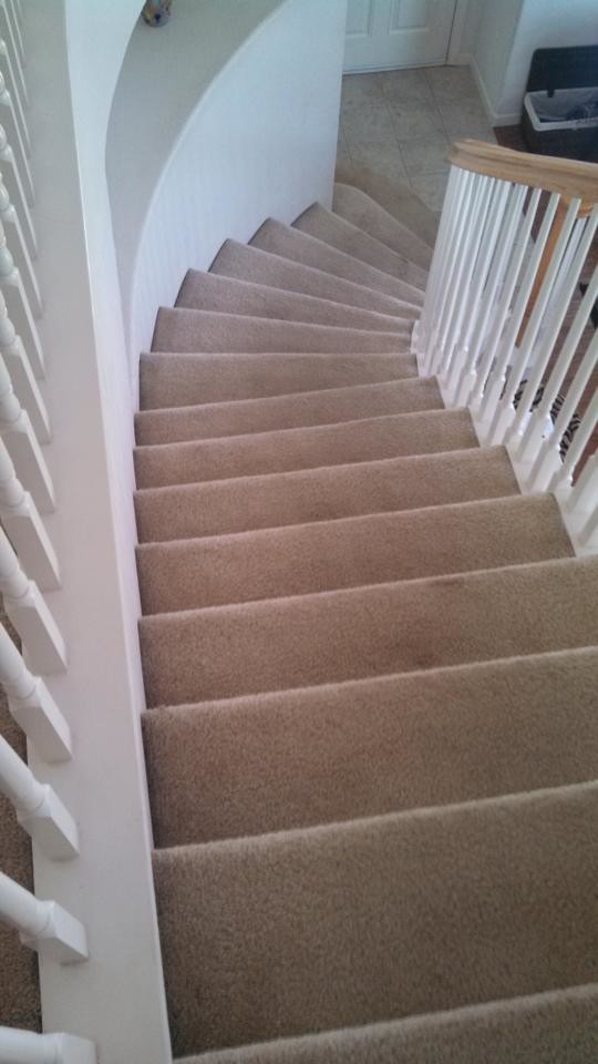 Inspiration for a mid-sized carpeted curved staircase remodel with carpeted risers