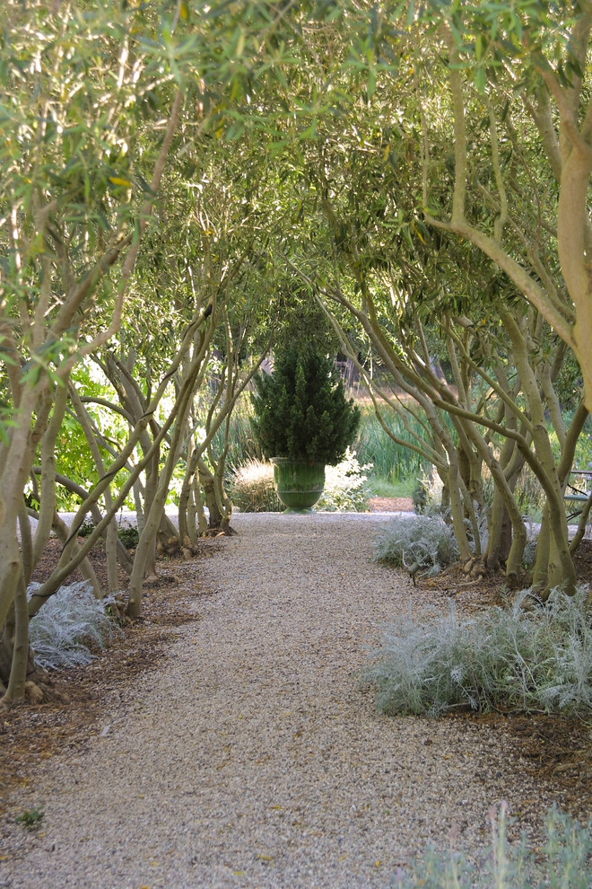 Large garden in Santa Barbara with gravel.