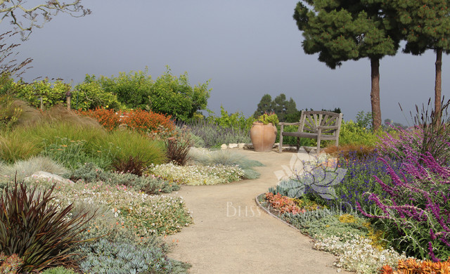 Dry Garden, Palos Verdes, CA - Contemporary - Landscape - Los Angeles - by Bliss Garden Design, LLC on Bliss Garden Design
 id=44074