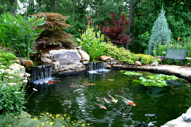 Higher's Koi Pond - Traditional - Landscape - Atlanta - by ...