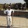 Abcd