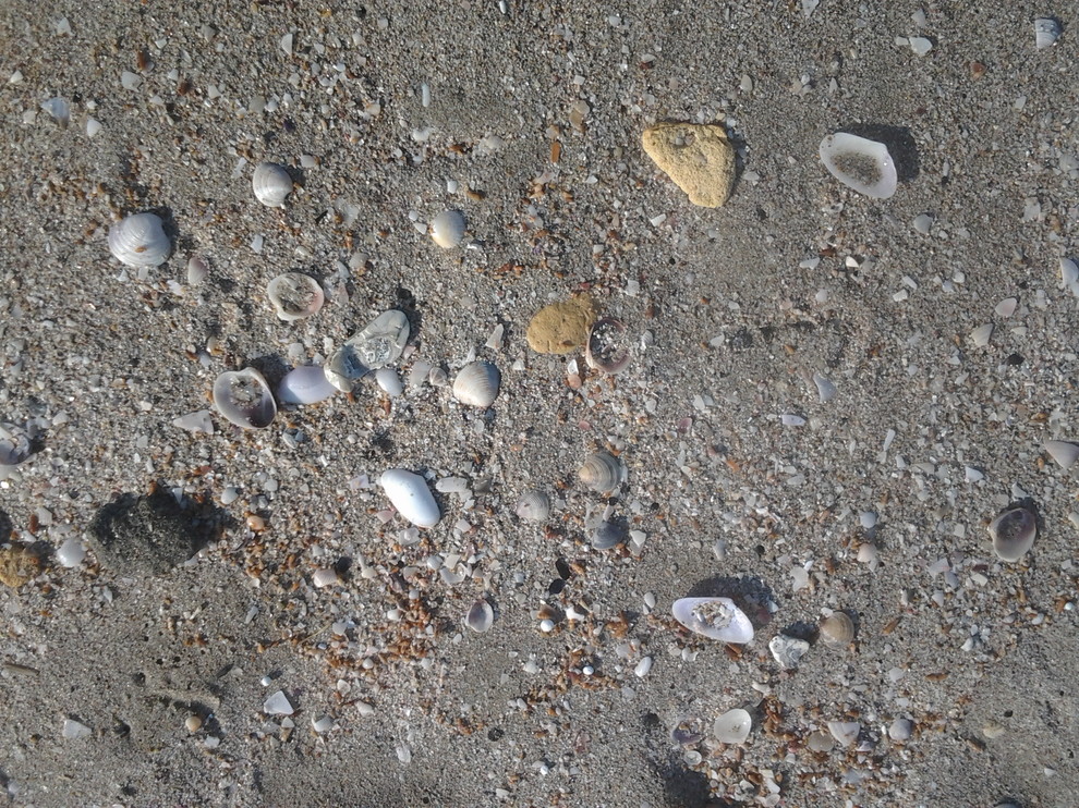 Банный комплекс в Крыму!