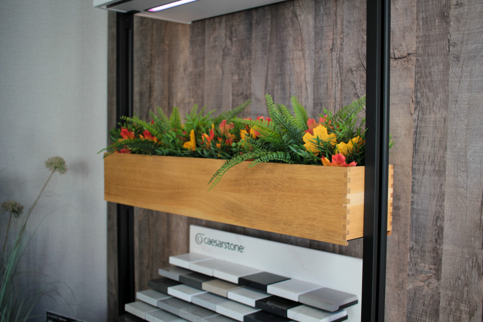 The Showroom