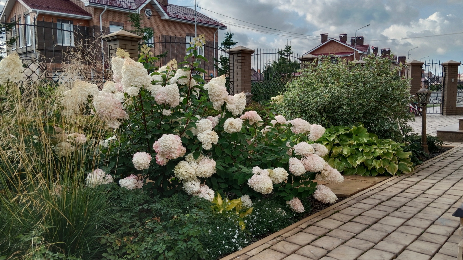 Серебрянный бор