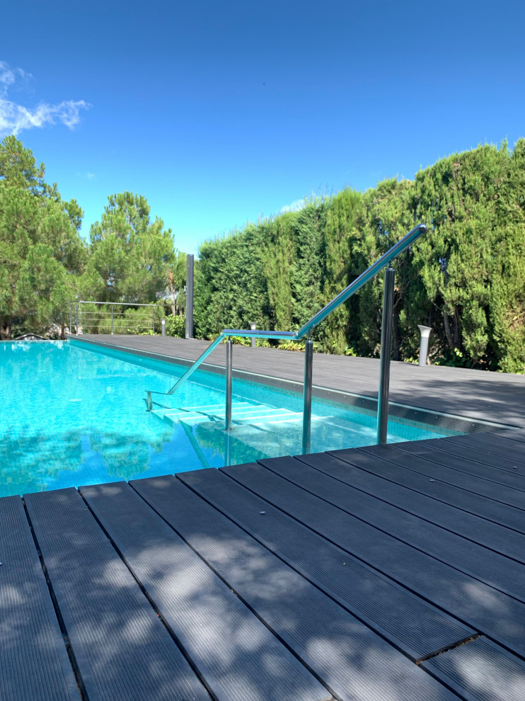 Ejemplo de piscina alargada minimalista grande rectangular en patio trasero con paisajismo de piscina