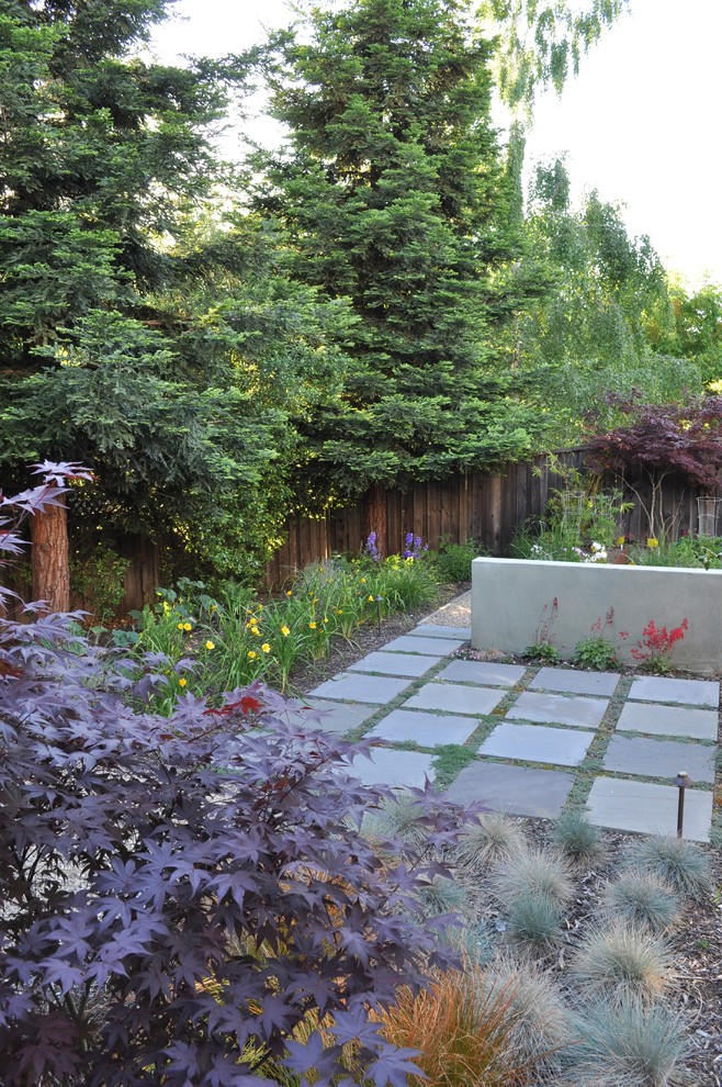 Design ideas for a contemporary backyard garden in San Francisco.