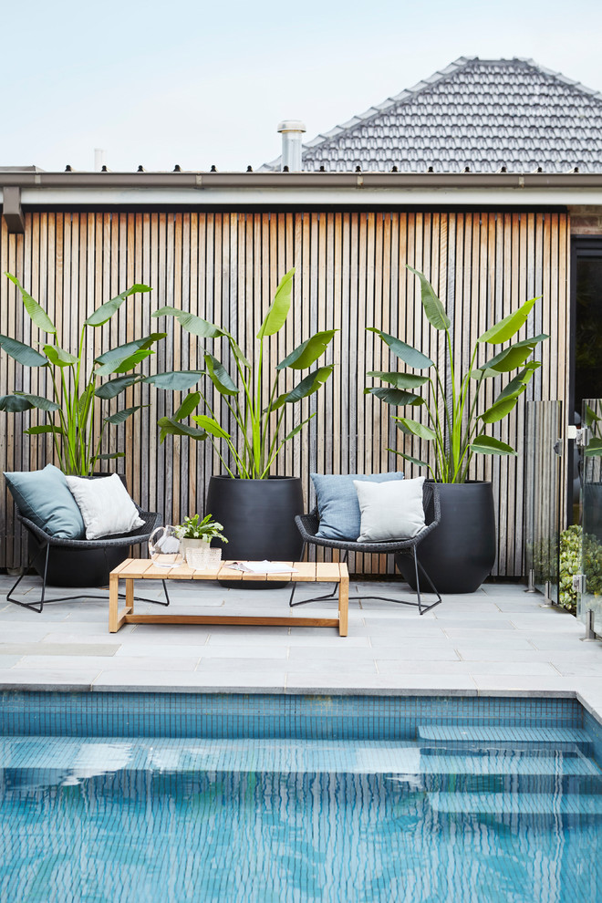 Inspiration for a mid-sized contemporary backyard rectangular pool in Sydney with tile.