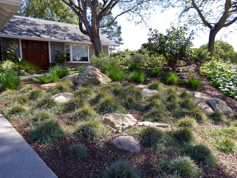 Photo of a mid-sized transitional partial sun xeriscape in Santa Barbara with a garden path.