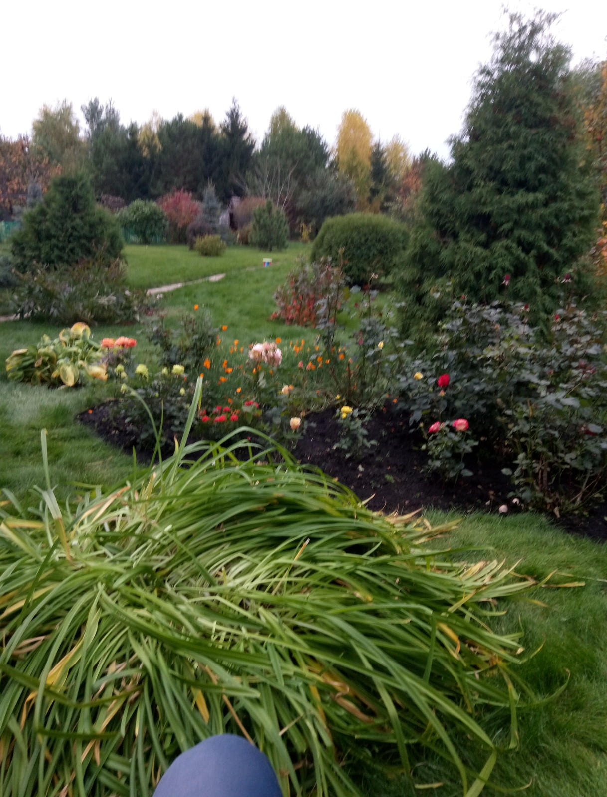 Восстановление газона