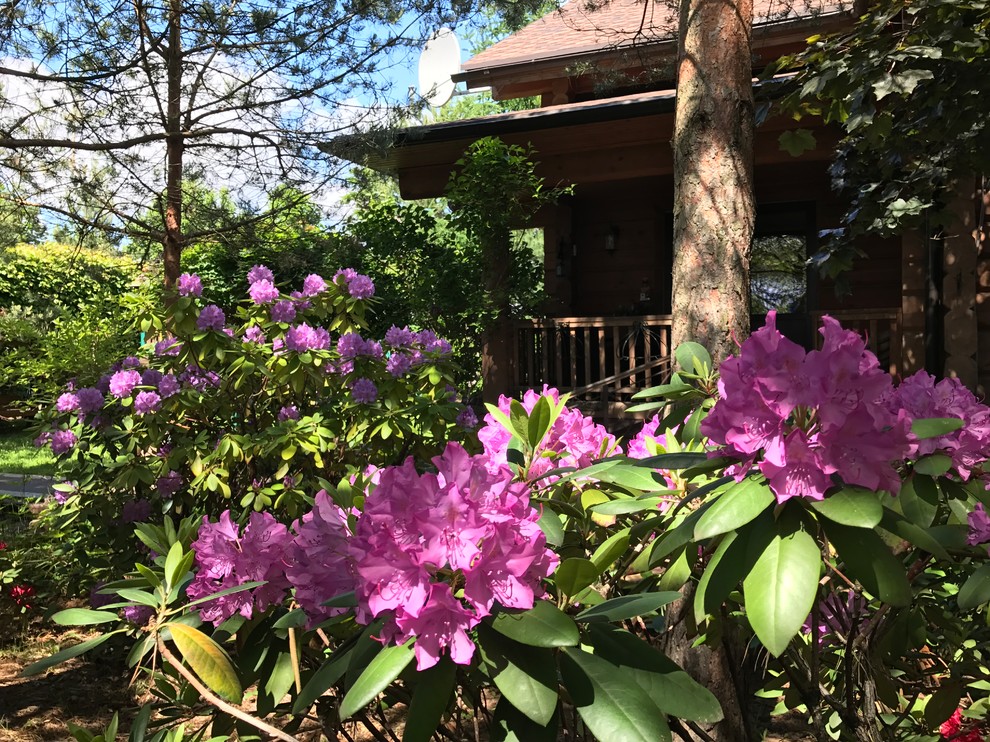 Буйство красочных форм в осеннем саду