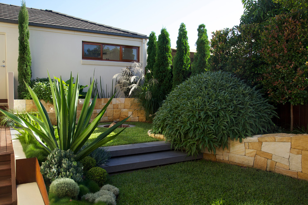 Design ideas for a contemporary garden in Sydney.