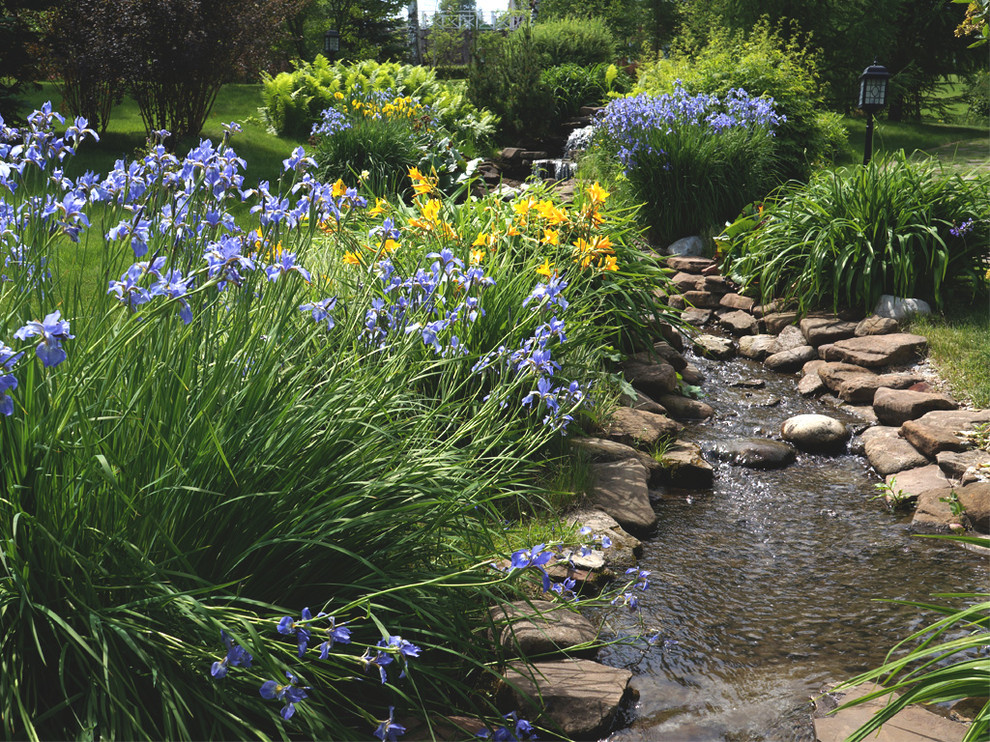 По склону в озеро стекает ручей