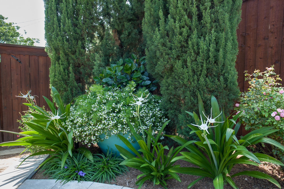 На фото: участок и сад среднего размера в стиле фьюжн с