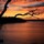 keith_upchurch
