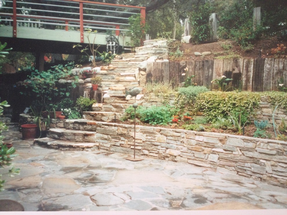 This is an example of a large contemporary backyard full sun formal garden for spring in Los Angeles with natural stone pavers and a garden path.