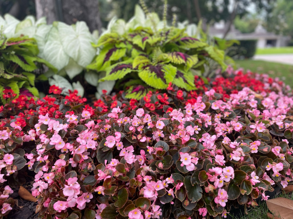 M Streets Floral Landscape & Outdoor Oasis