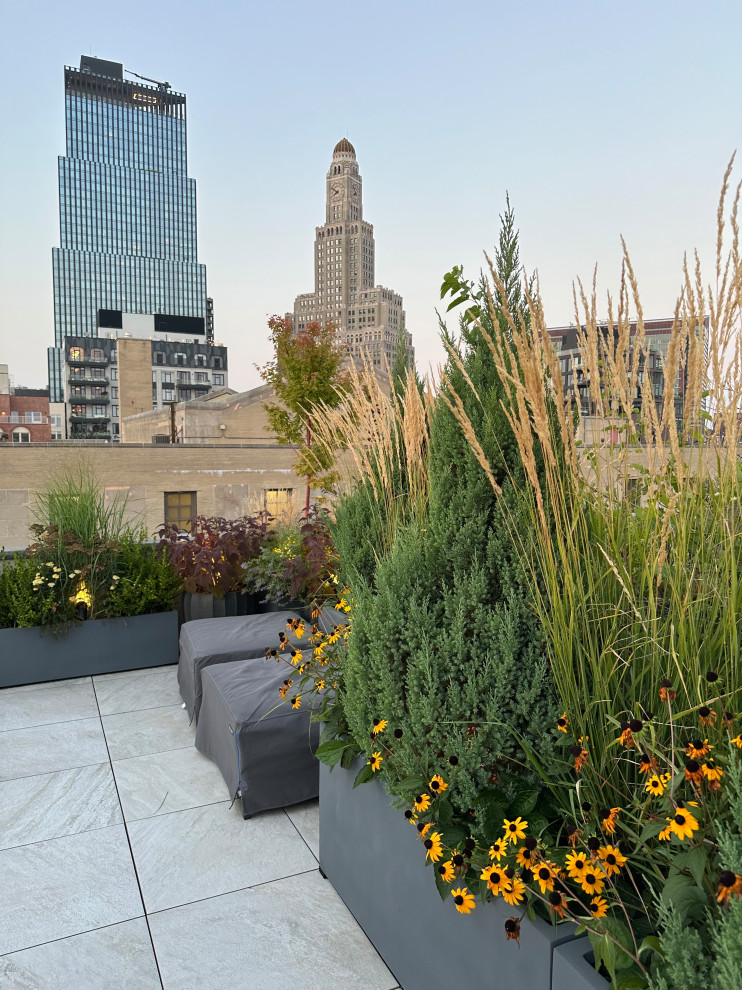 Brooklyn Rooftop Wildflower Garden - Contemporary - Landscape - New ...
