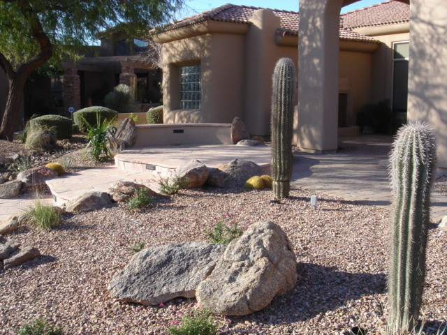Mid-sized modern front yard full sun garden in Phoenix with a garden path and natural stone pavers for summer.