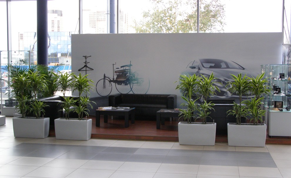 Зона отдыха в автосалоне Мерседес