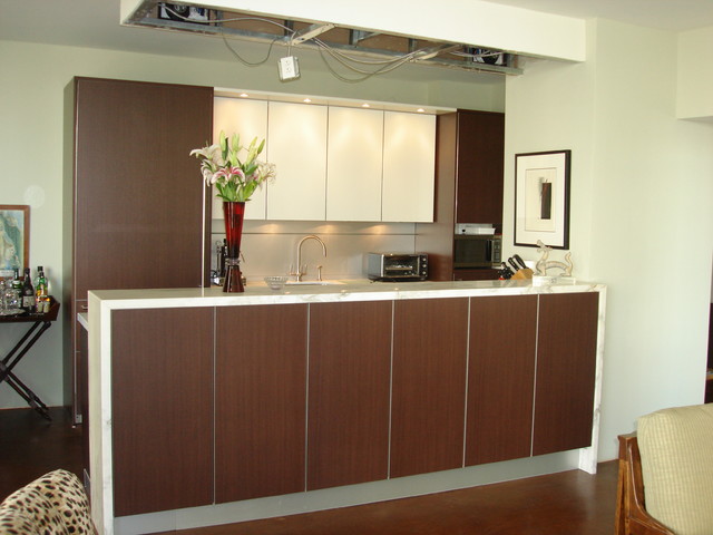 Kitchen contemporary-kitchen