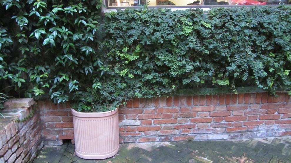 Городское озеленение