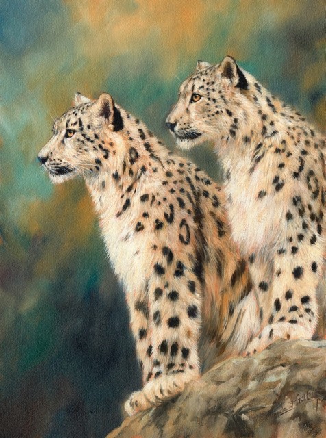 Pair Of Snow Leopards On Rock Print Contemporary Prints And Posters By Posterazzi Houzz