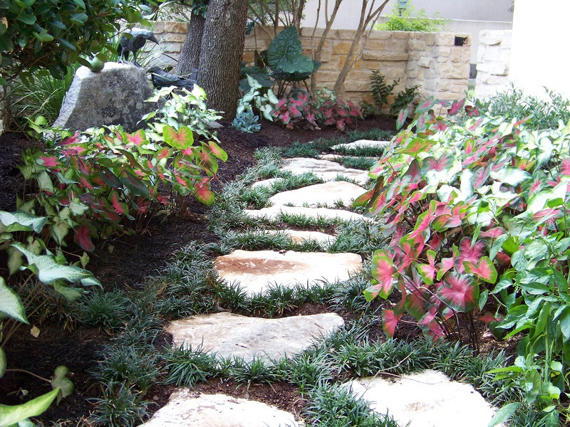 This is an example of a mid-sized contemporary side yard shaded formal garden in Austin with a garden path and river rock.