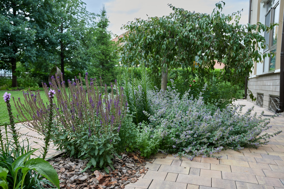 Проект "Современный сад"