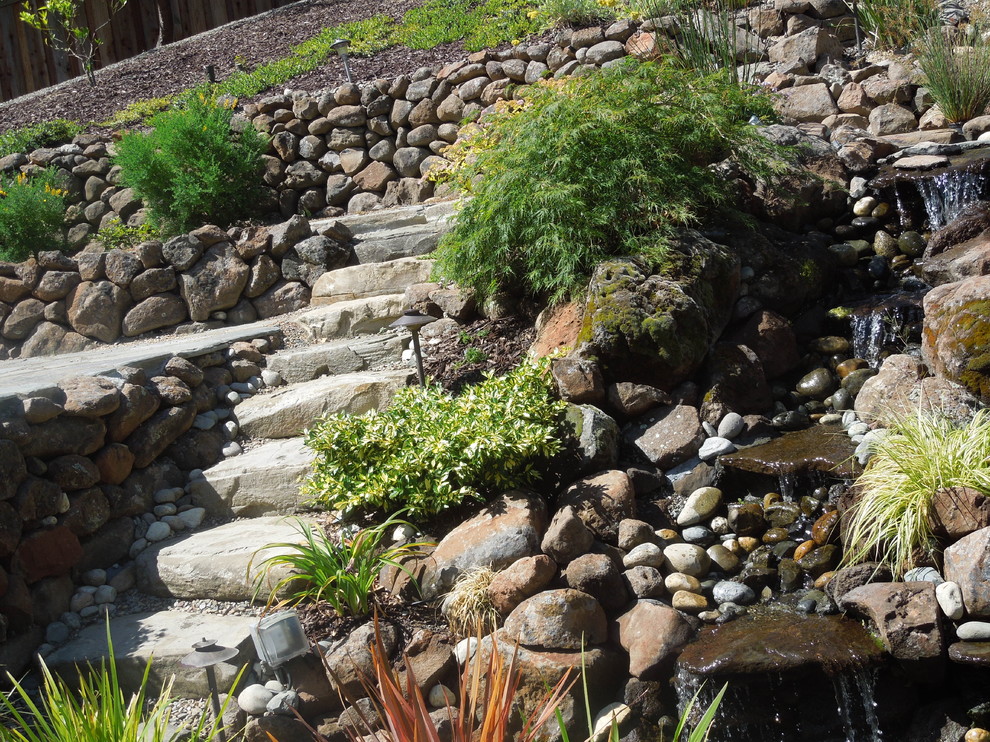 Hillside garden