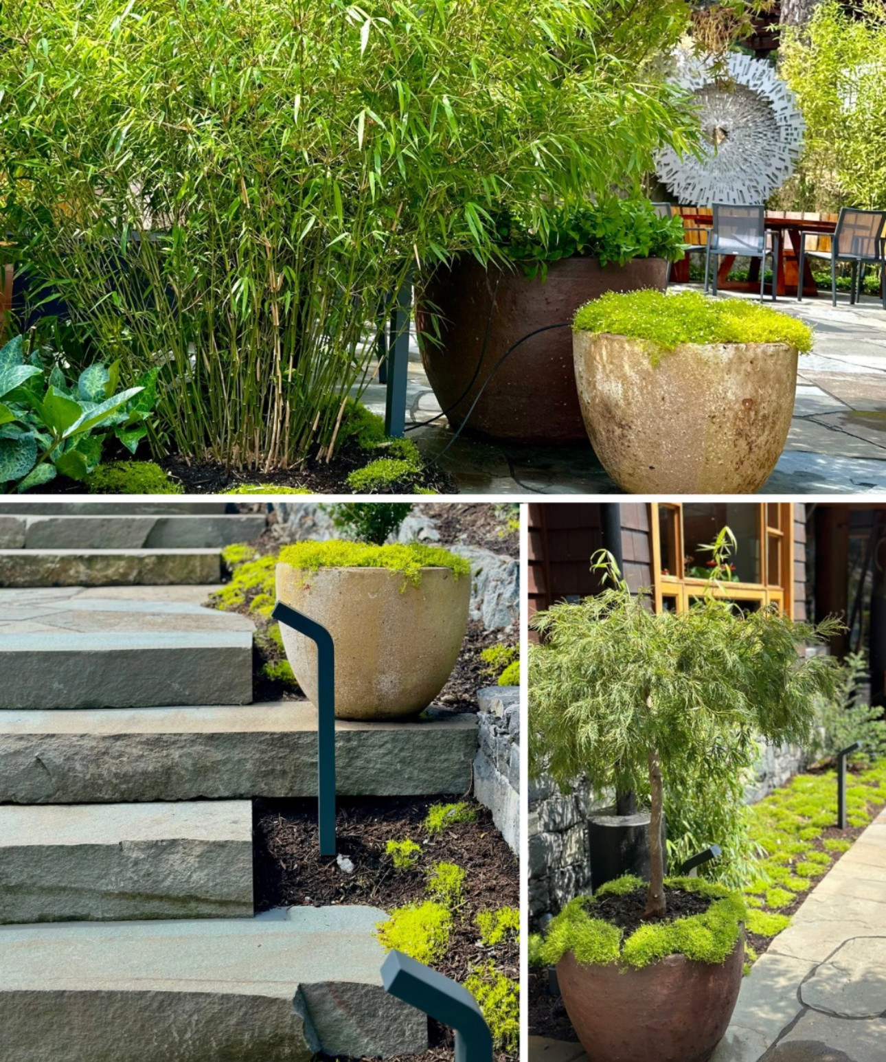 Bowen Island :  "Homage to Aker" (Guardian of Entrances)