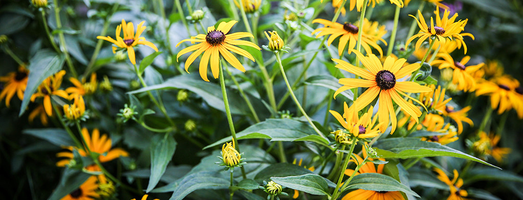Stephen Marker Landscaping Springfield Pa Us 19064